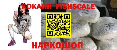 тгк Кингисепп