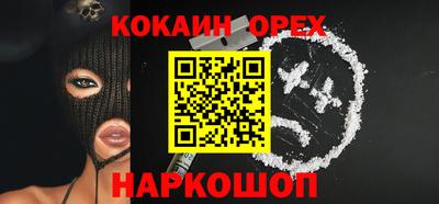 тгк Кингисепп