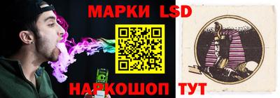 тгк Кингисепп