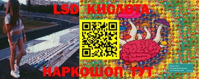 тгк Кингисепп