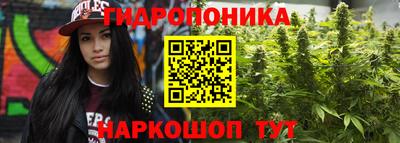 СК Кимры