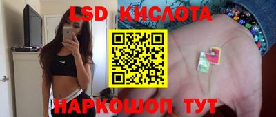 СК Кимры