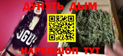 тгк Кингисепп