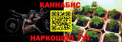 СК Кимры
