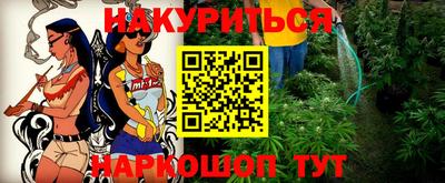 тгк Кингисепп