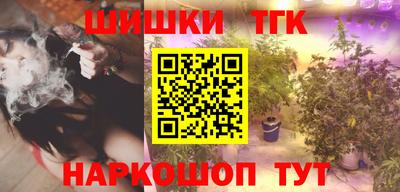 тгк Кингисепп
