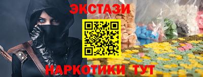 тгк Кингисепп
