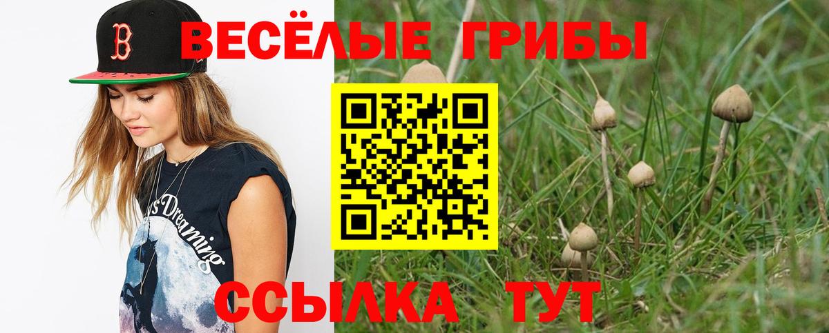 Псилоцибиновые грибы Psilocybe  Вход с VPN  Краснокаменск  Псилоцибиновые грибы прущие грибы 