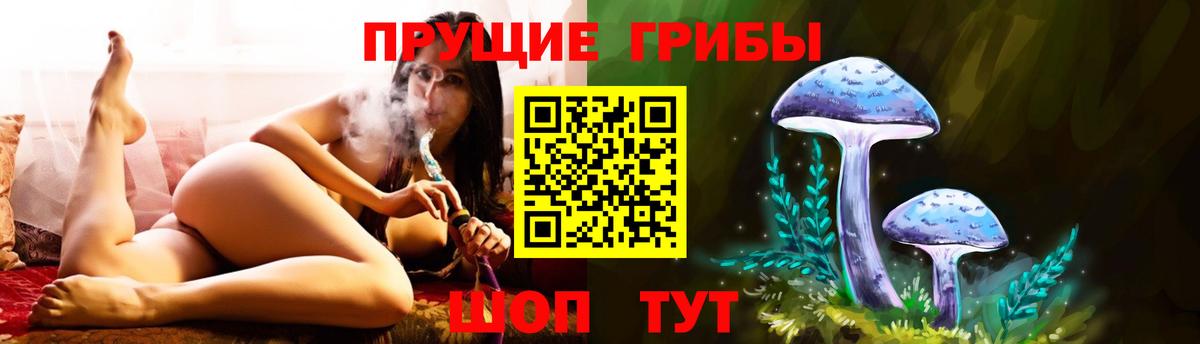 Галлюциногенные грибы Cubensis Краснокаменск